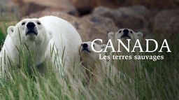 Canada : Les terres sauvages