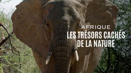 Afrique : Les trésors cachés de la nature