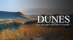 Dunes : les paysages mouvants d'Europe