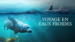 Voyage en eaux froides
