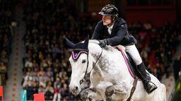 Coupe du monde de saut d'obstacles - Gothenburg