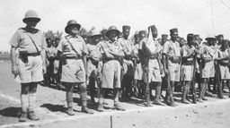 Quand l'Afrique sauva la France