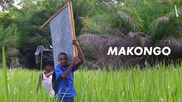 Makongo