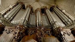 Dans le ventre de l'orgue de Notre-Dame