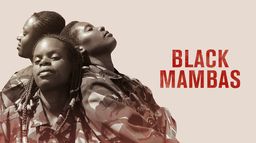 Black mambas