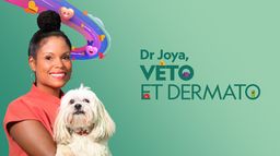 Dr. Joya, véto et dermato