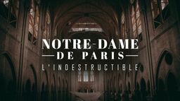 Notre Dame de Paris, l'indestructible