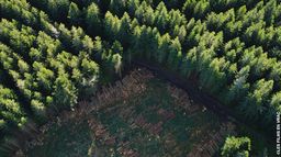 L'écologie près de chez nous