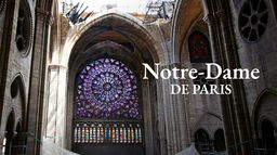 Notre-Dame de Paris, le chantier du siècle