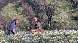 Péloponnèse, la passionaria de l'agroforesterie