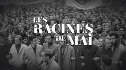 Les racines de mai