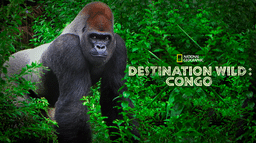 Destination Wild : Congo