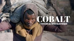 Cobalt : L'envers du rêve électrique