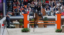 Equitation : Coupe du monde de saut d'obstacles