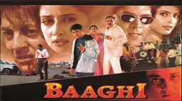 Baaghi 2000