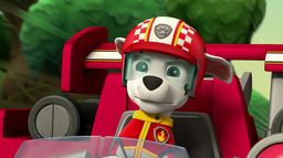 La Pat' Patrouille : la grande course !
