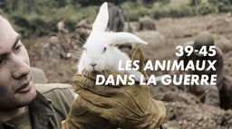 39-45, les animaux dans la guerre