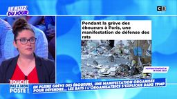Une manifestation organisée pour défendre...les rats !