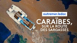 Caraïbes, sur la route des Sargasses