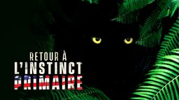 Retour à l'instinct primaire (version US)