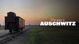 Un jour à Auschwitz