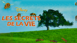 Les Secrets de la vie