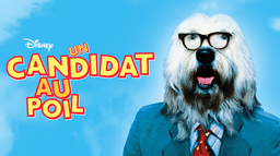 Un Candidat Au Poil