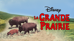La Grande Prairie