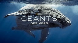 Géants des mers