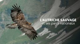 L'Autriche sauvage et ses parcs nationaux
