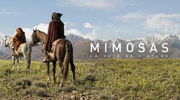 Mimosas, la voie de l'Atlas
