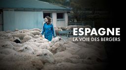 Espagne, la voie des bergers