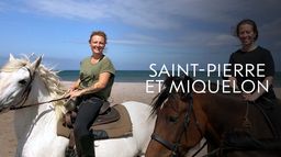 Saint-Pierre-et-Miquelon : Un petit coin de France en Amérique