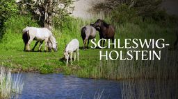 Schleswig-Holstein : Deux mers, un seul pays