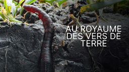 Au royaume des vers de terre : La vie du sol dévoilée
