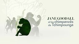 Jane Goodall et les chimpanzés de Tchimpounga