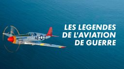Les légendes de l'aviation de guerre