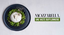 Mozzarella, une vaste bufflonnerie ?