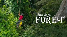 Une vie en forêt