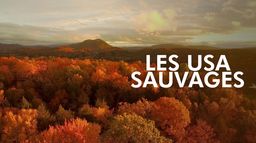 Les USA sauvages en quatre saisons