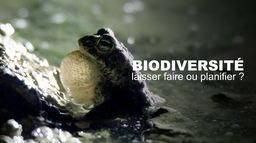 Biodiversité : laisser faire ou planifier ?