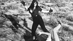 Russ Meyer, le saint des seins