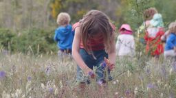 Ecole dans la forêt, une révolution verte ?