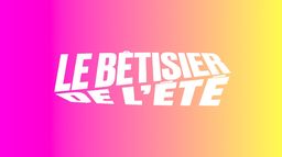 Le bêtisier de l'été