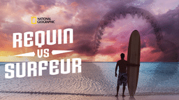 Requin vs Surfeur