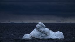 Panique en Antarctique