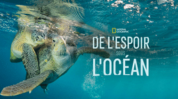 De l'espoir sous l'océan