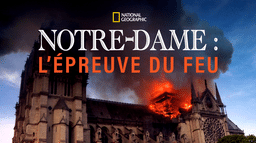 Notre-Dame: L’épreuve du feu