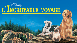 L'Incroyable Voyage