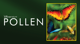 Pollen